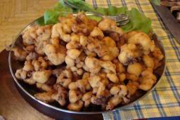 Resize of DSC05149.JPG